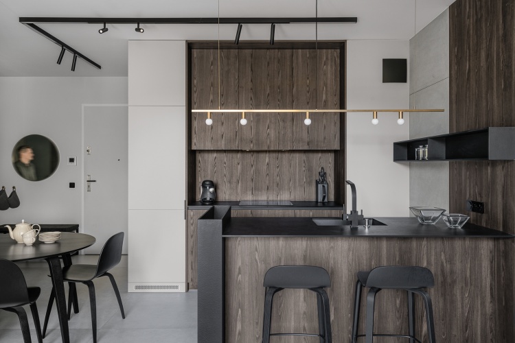 Современный дизайн интерьера кухни апартаментов в минималистском стиле
